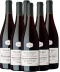 Bourgogne rouge Octave Lelat - caisse de 6 bouteilles