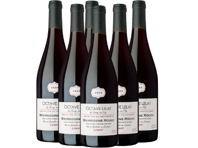 Bourgogne rouge Octave Lelat - caisse de 6 bouteilles
