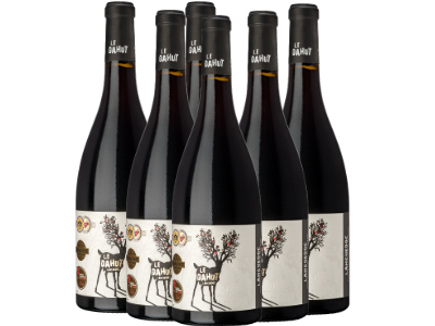 Languedoc rouge AOP 2021 "Le Dahut" - caisse de 6 bouteilles