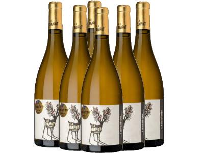 Languedoc blanc AOP "Le Dahut" - caisse de 6 bouteilles