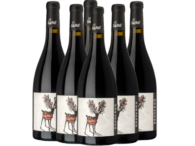 Bordeaux rouge AOP "Le Dahut" - caisse de 6 bouteilles