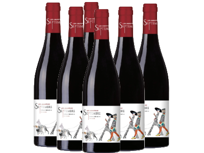 Les Amants de septembre rouge VDF - caisse de 6 bouteilles