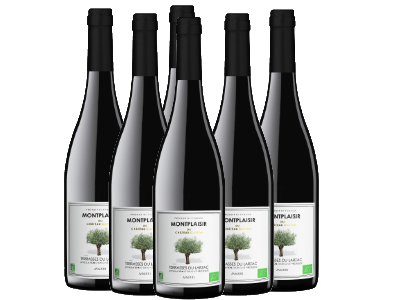 Terrasses du Larzac Montplaisir du Château Capion BIO rouge AOP - caisse de 6 bouteilles