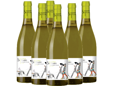 Les Amants de Septembre blanc VDF - caisse de 6 bouteilles